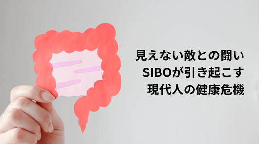 見えない敵との闘い：SIBOが引き起こす現代人の健康危機 - HAPIVERI